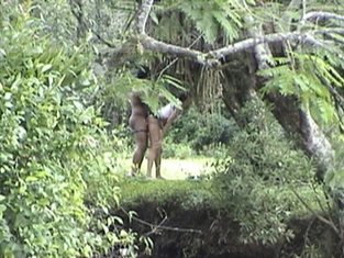 Picada na floresta - Sexo Amador